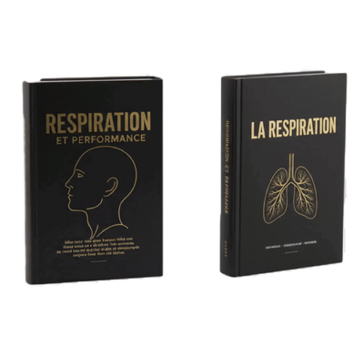2 Guides Récupération